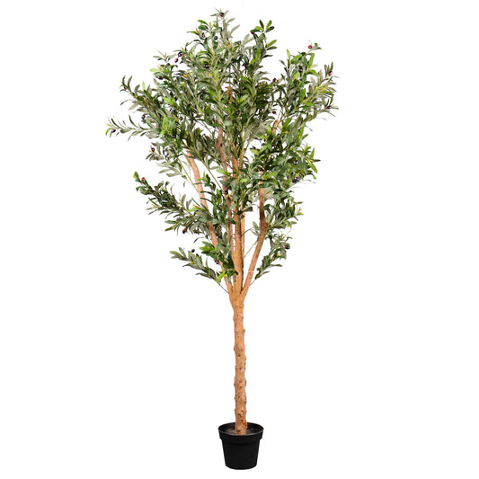 Kunstpflanze Olivenbaum Echtholzstamm in verschiedenen Größen