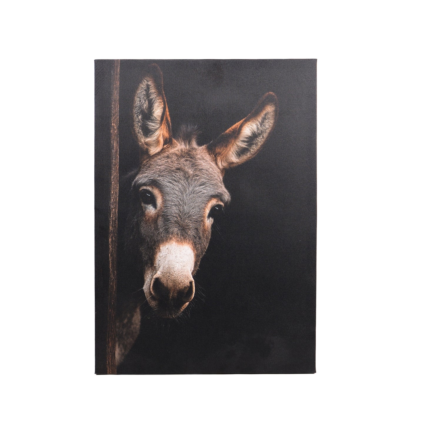 Leinwand Tierportrait Esel in zwei Größen