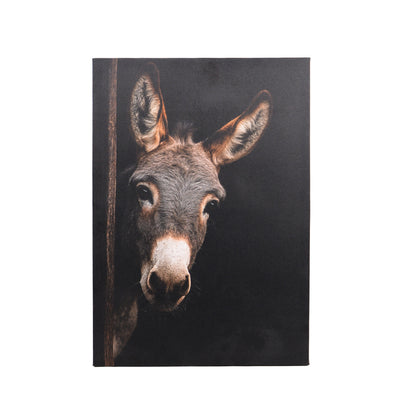 Leinwand Tierportrait Esel in zwei Größen