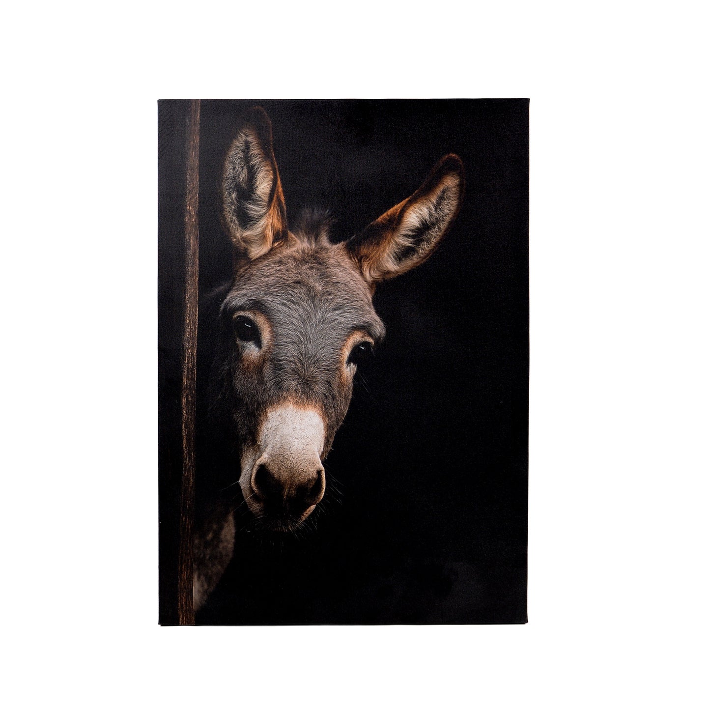Leinwand Tierportrait Esel in zwei Größen