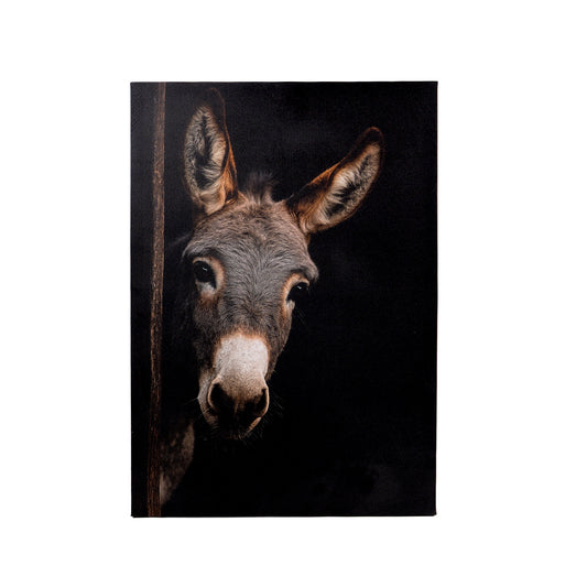 Leinwand Tierportrait Esel in zwei Größen