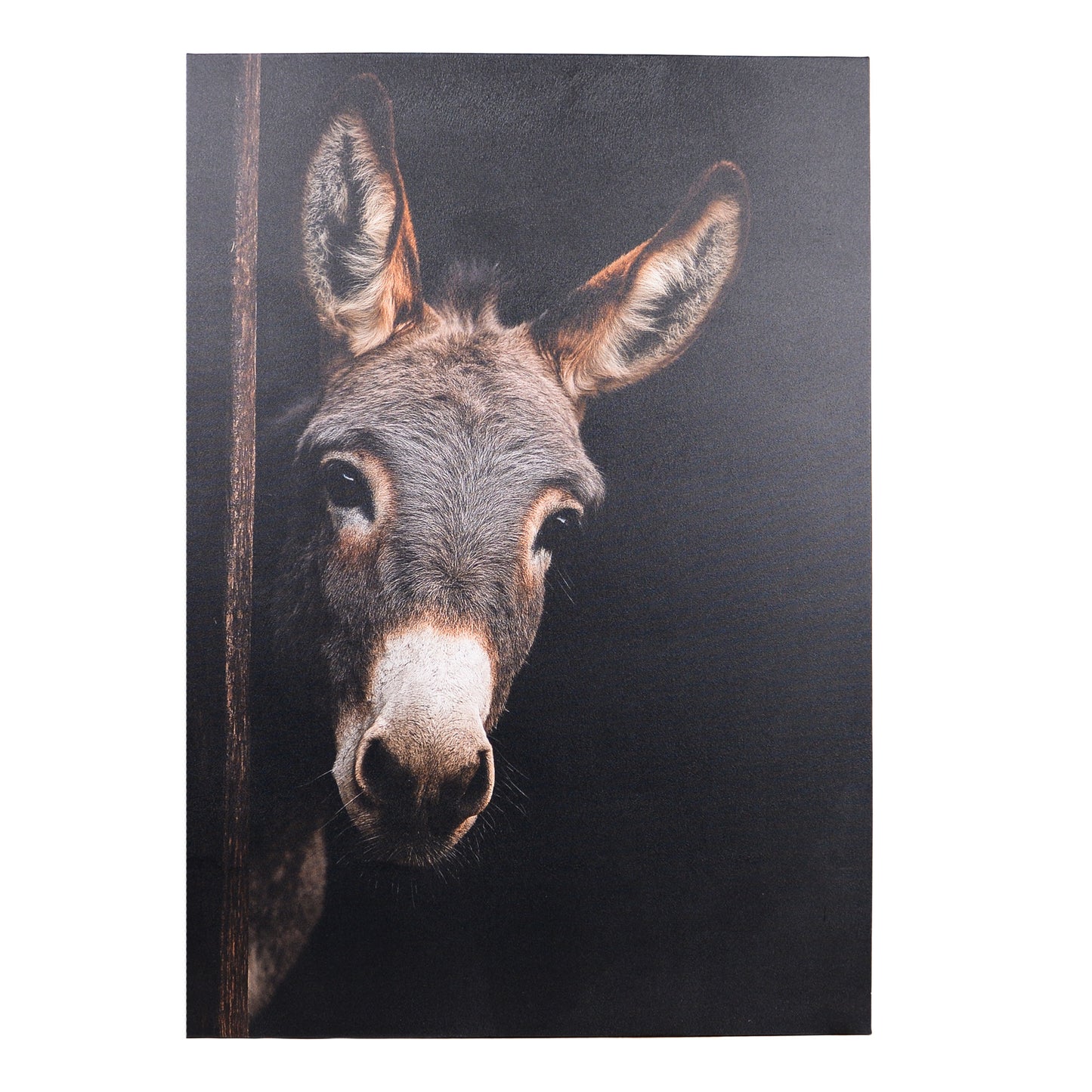 Leinwand Tierportrait Esel in zwei Größen