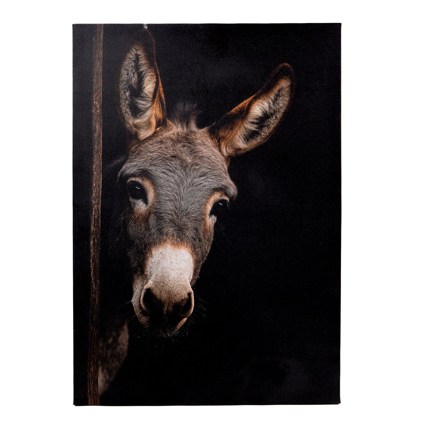Leinwand Tierportrait Esel in zwei Größen