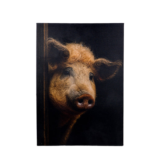 Leinwand Tierportrait Wollschwein bespannter Keilrahmen