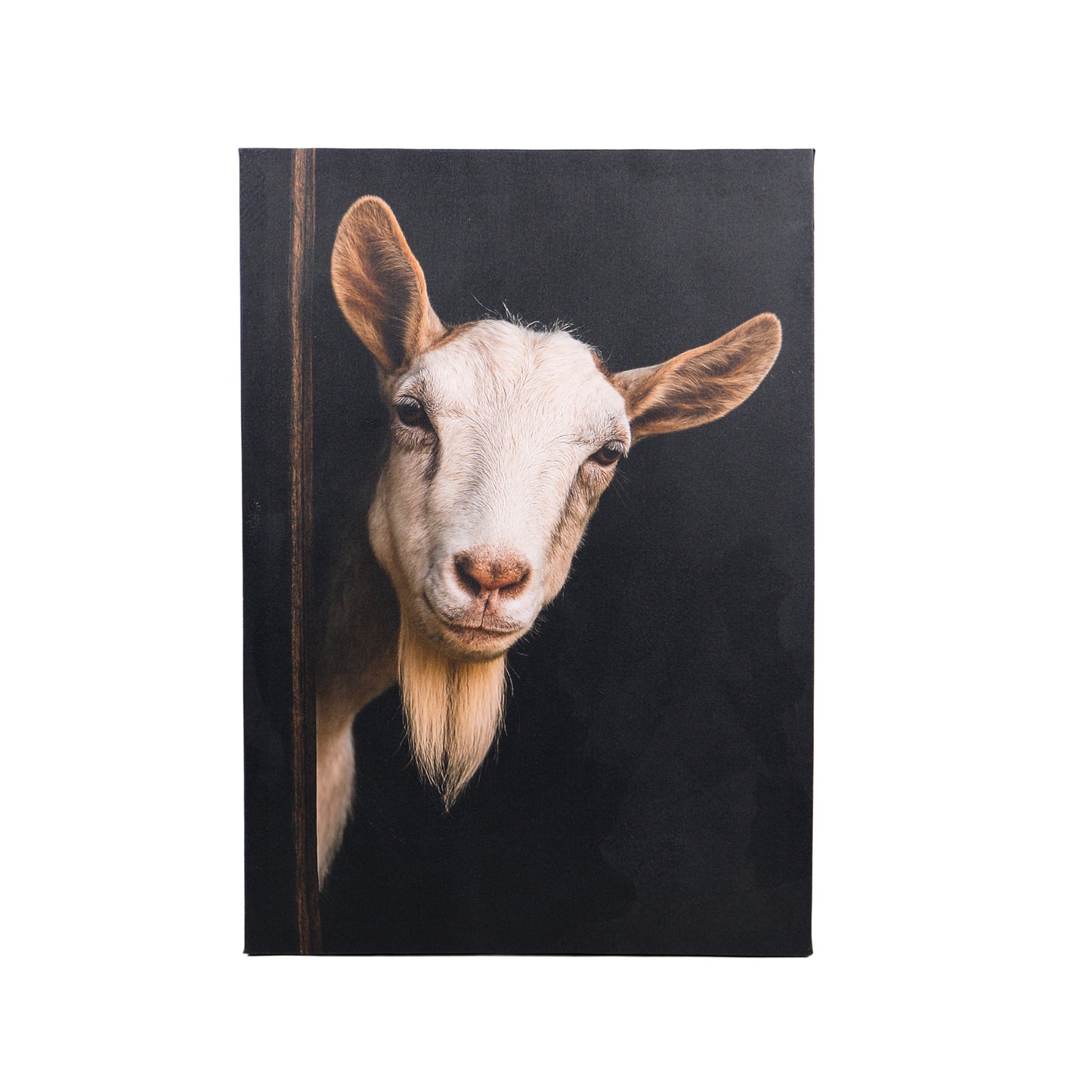 Leinwand Tierportrait Ziege bespannter Keilrahmen
