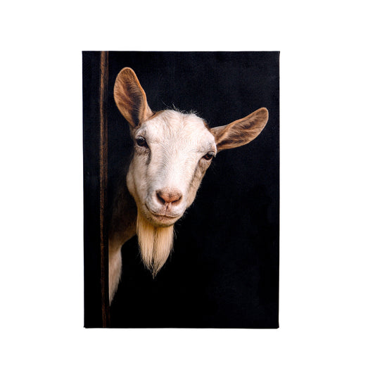 Leinwand Tierportrait Ziege bespannter Keilrahmen