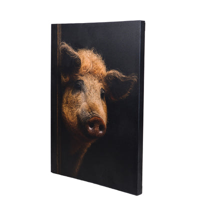 Leinwand Tierportrait Wollschwein bespannter Keilrahmen