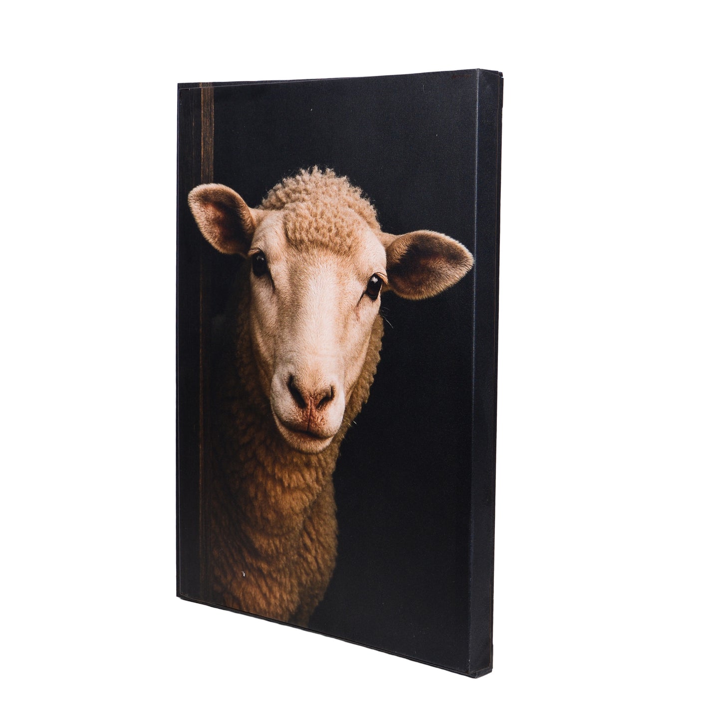 Leinwand Tierportrait Schaf bespannter Keilrahmen
