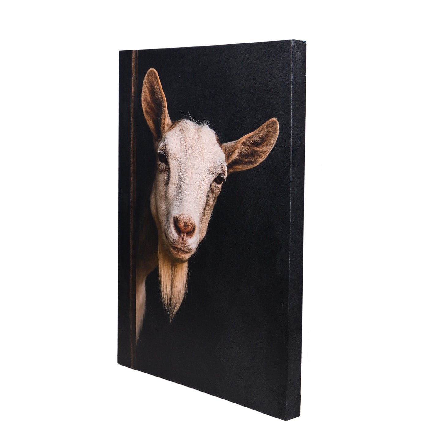 Leinwand Tierportrait Ziege bespannter Keilrahmen