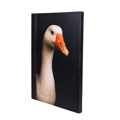 Leinwand Tierportrait Gans bespannter Keilrahmen