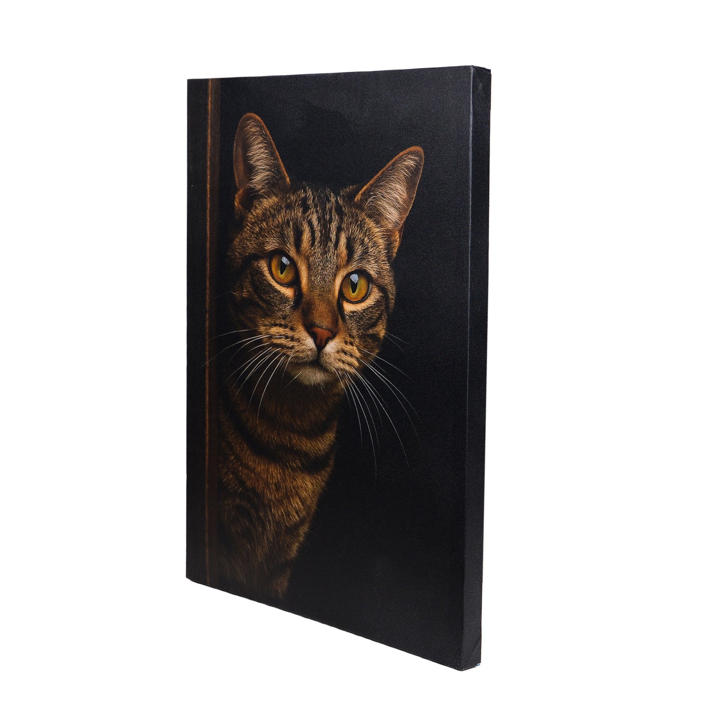Leinwand Tierportrait Katze bespannter Keilrahmen