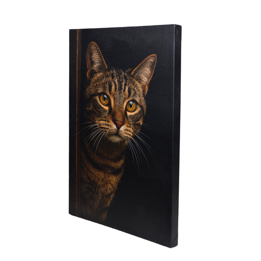 Leinwand Tierportrait Katze bespannter Keilrahmen