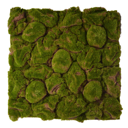Terrarium Rückwände für 60x60cm Terrarien