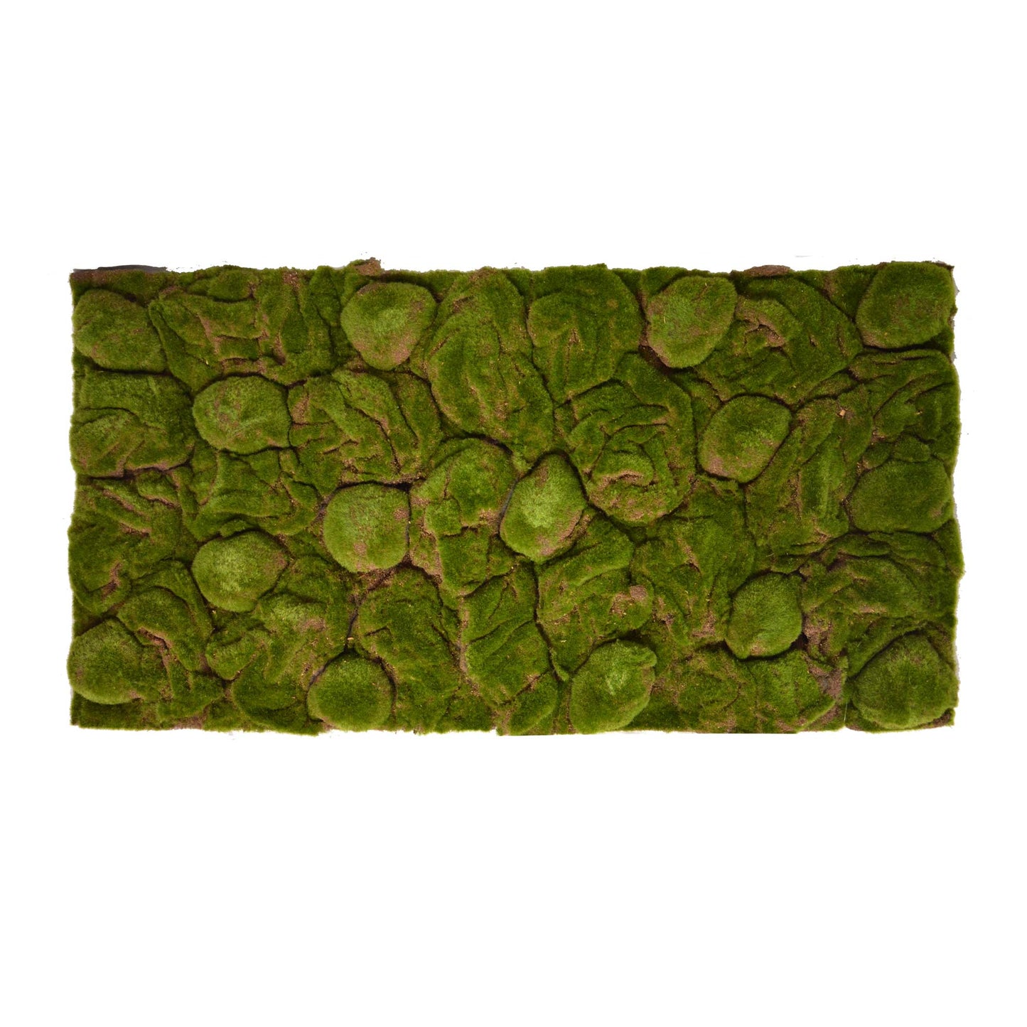 Terrarium Rückwände für 120x60cm Terrarien