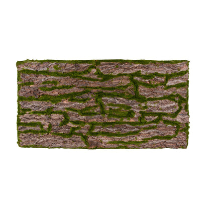 Terrarium Rückwände für 120x60cm Terrarien