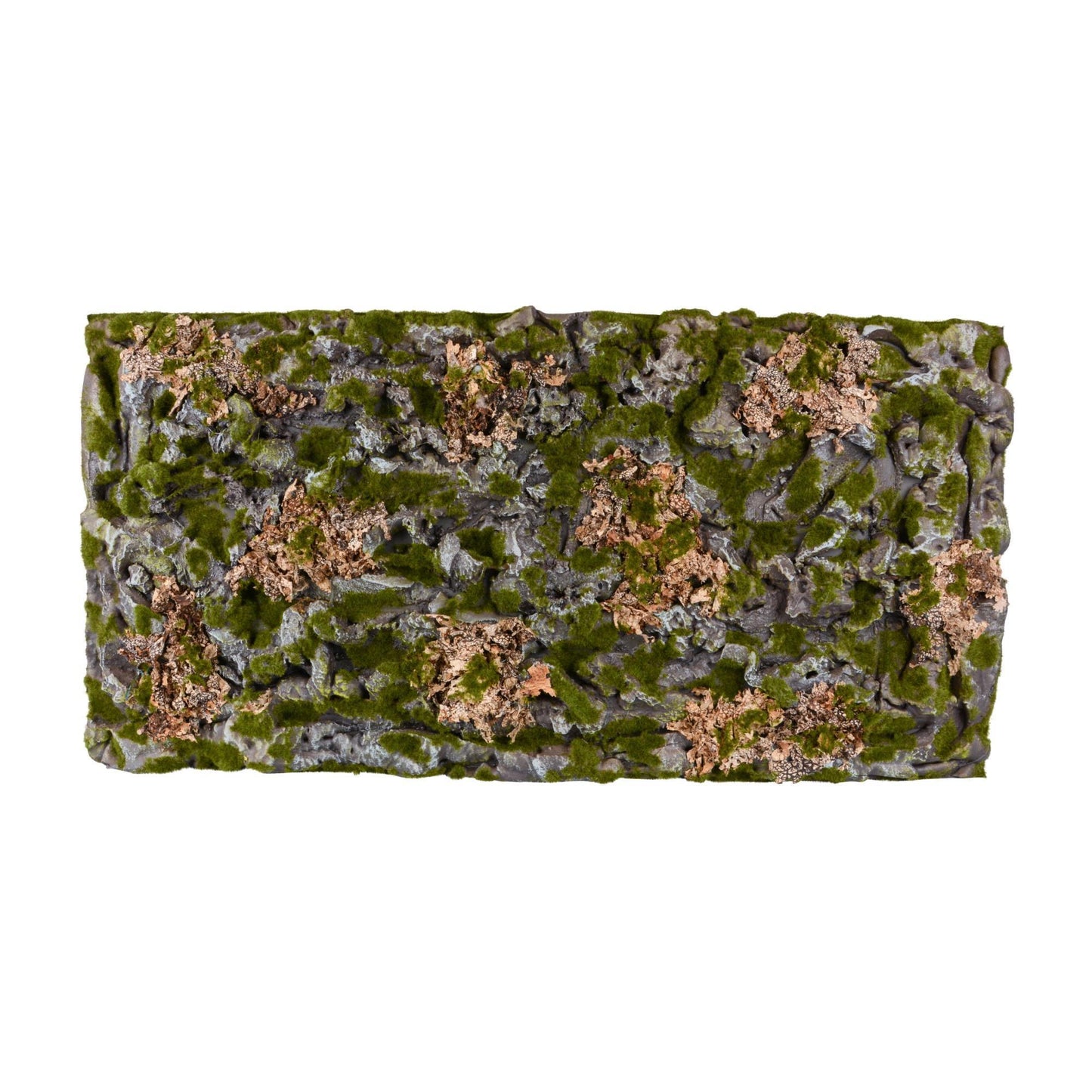 Terrarium Rückwände für 120x60cm Terrarien