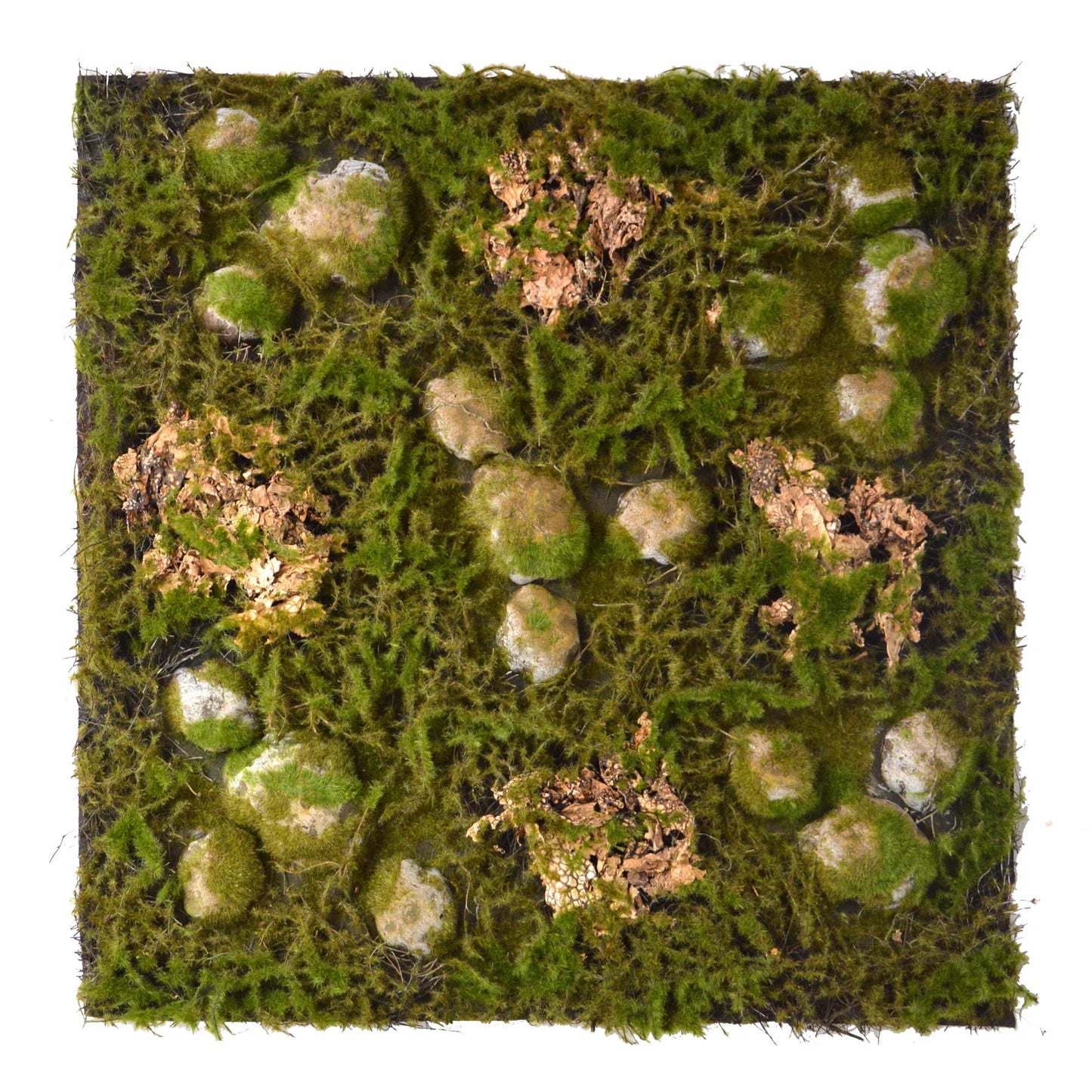 Terrarium Rückwände für 60x60cm Terrarien