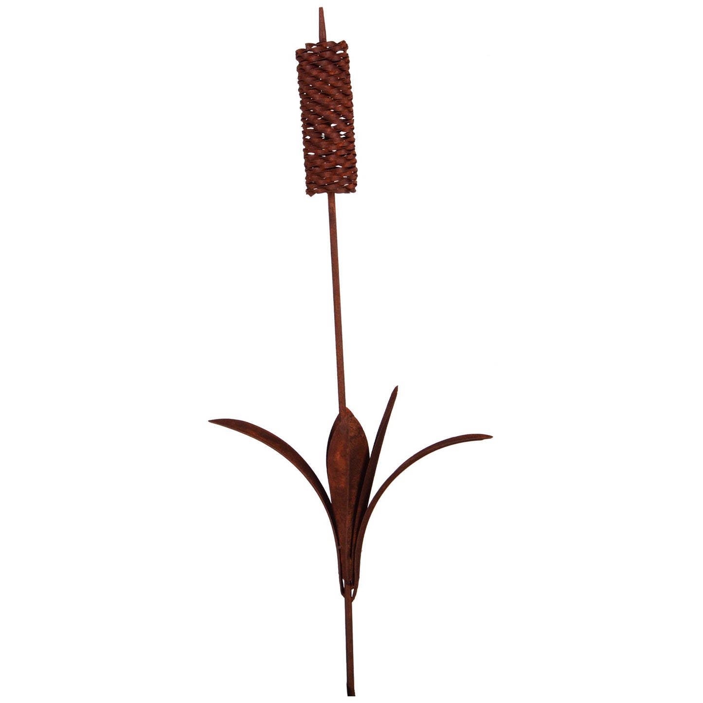 Roststecker Schilfgras groß 102cm