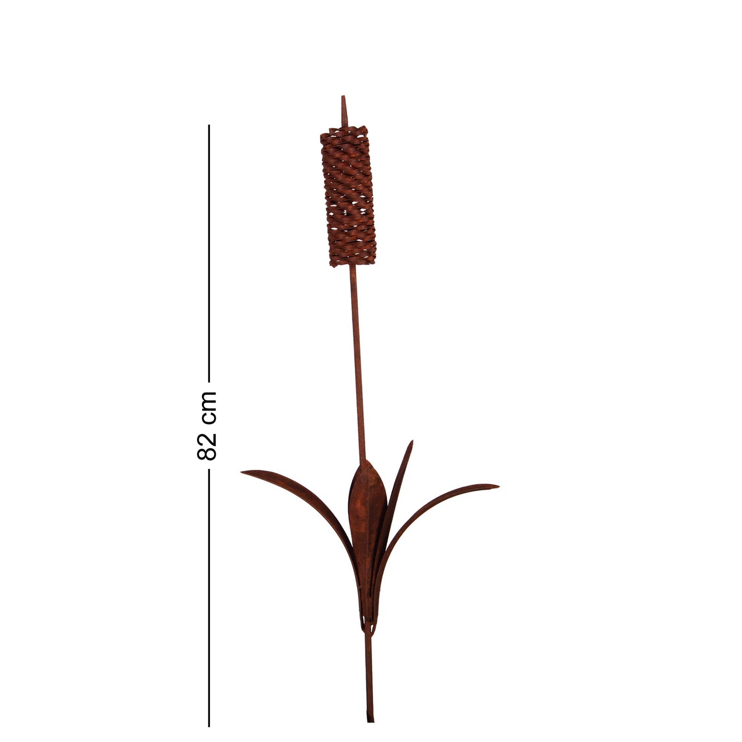 Roststecker Schilfgras klein 82cm