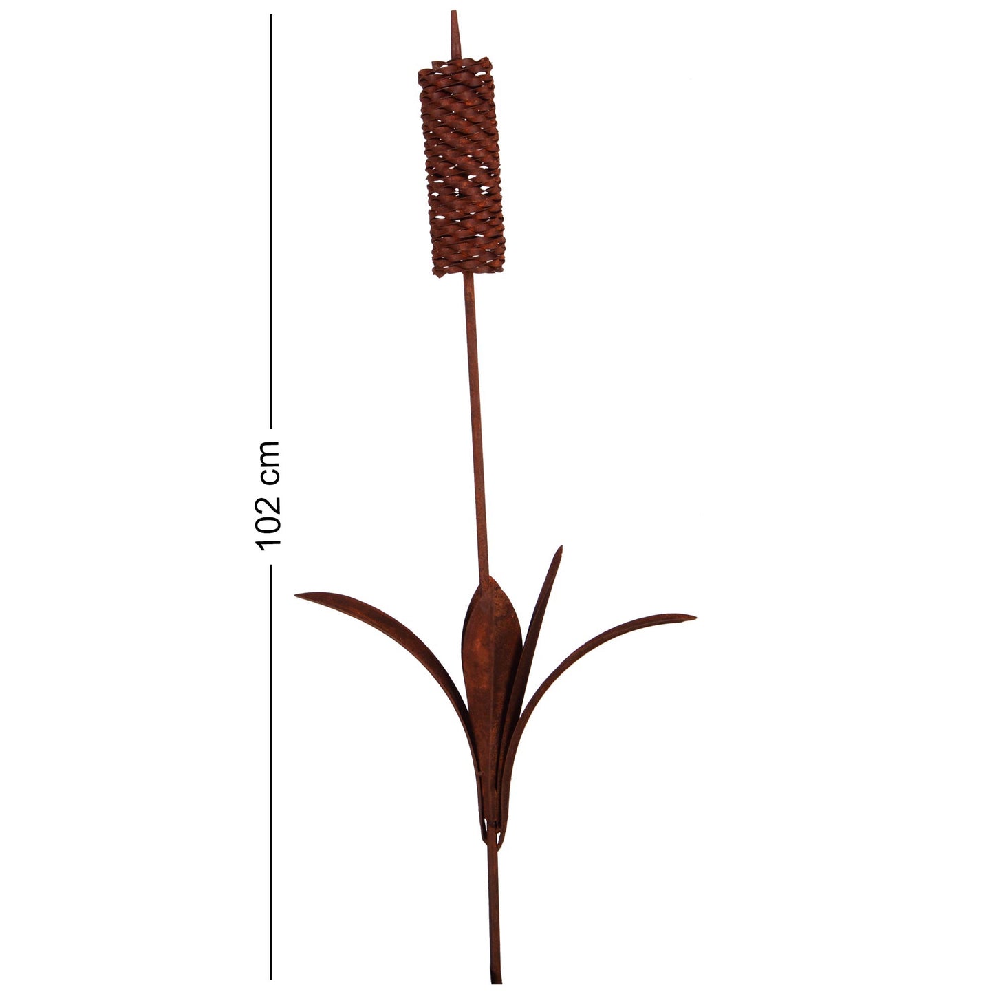 Roststecker Schilfgras groß 102cm