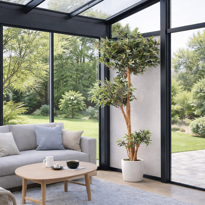 Kunstpflanze Ficus Ruscus Echtholzstamm in verschiedenen Größen