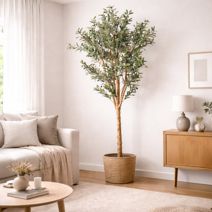 Kunstpflanze Olivenbaum Echtholzstamm in verschiedenen Größen