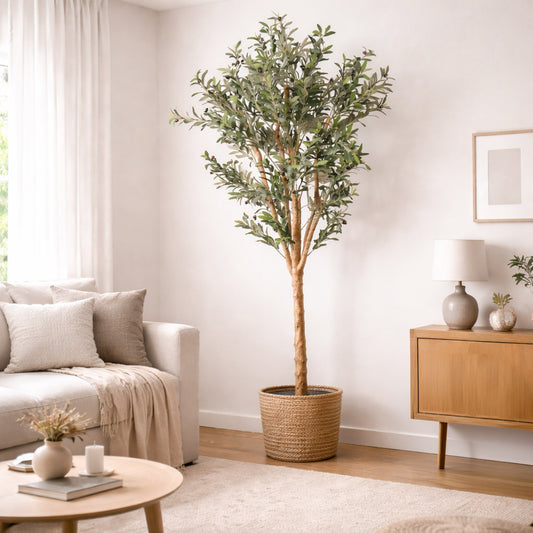 Kunstpflanze Olivenbaum Echtholzstamm in verschiedenen Größen