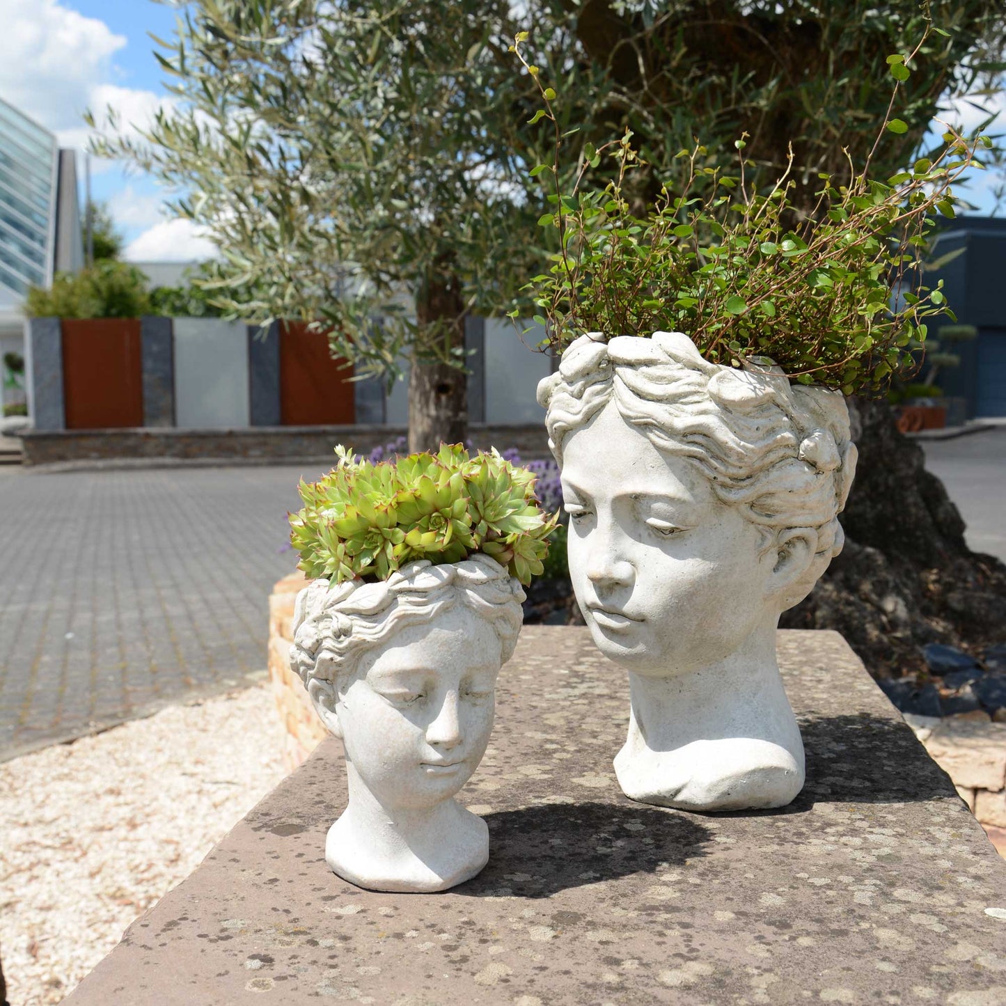 Topf Beton Frauenkopf z. bepflanzen