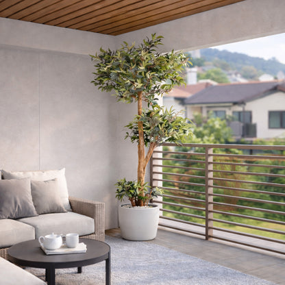 Kunstpflanze Ficus Ruscus Echtholzstamm in verschiedenen Größen