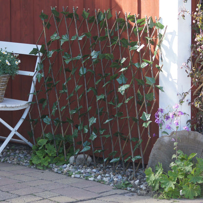Rankgitter Weide mit Blättern dunkelgrün