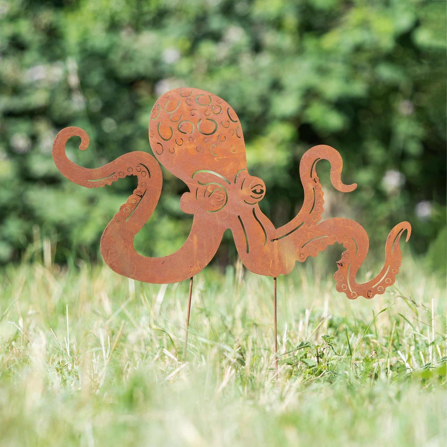 Roststecker Octopus