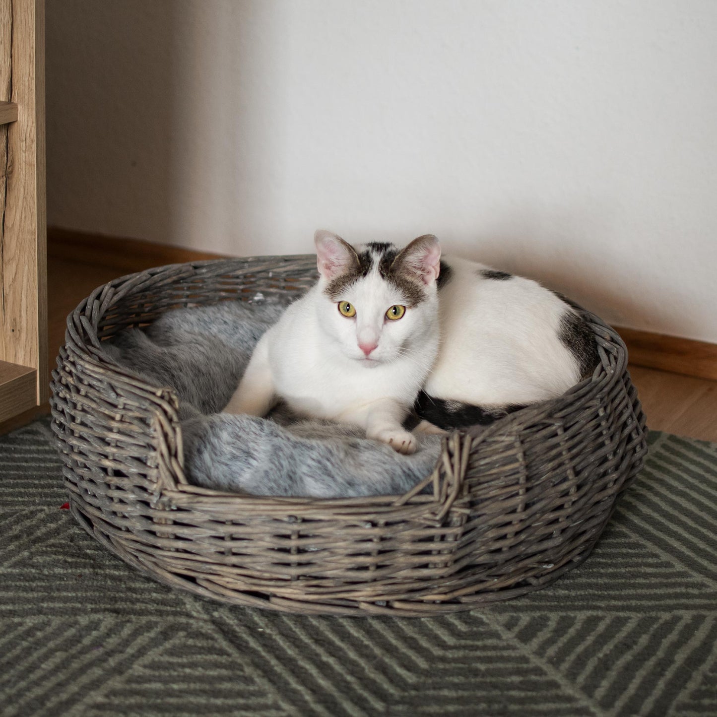 Haustierkorb rund grau/weiß washed mit Kissen groß Ø55