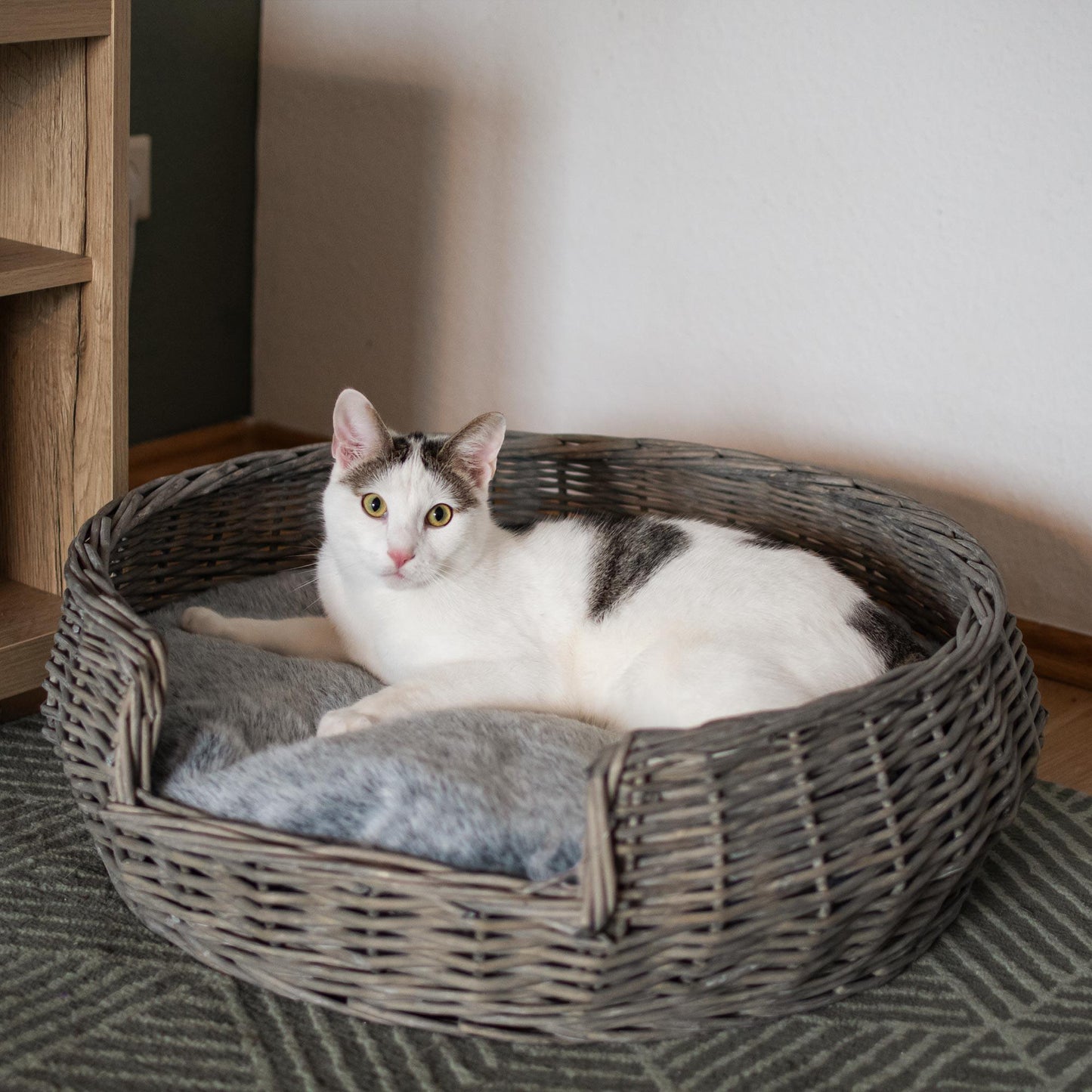Haustierkorb rund grau/weiß washed mit Kissen groß Ø65