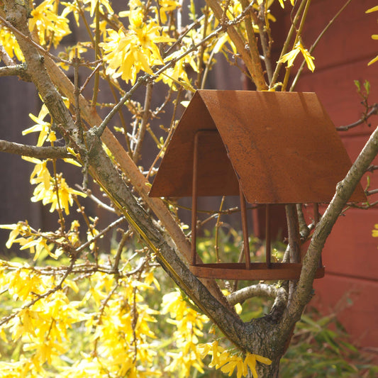 Haus Zink Rost