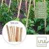 30 Bambusstäbe, Rankstäbe, Pflanzenstäbe aus Bambus 120 cm naturfarbend