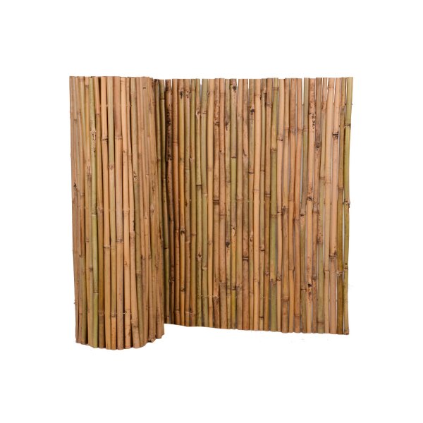 Sichtschutz Bambus verschiedene Größen