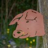 Baumstecker Rost Schweinekopf