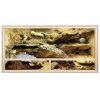 Repiterra Holz Terrarium für Schildkröten 100x50x50 cm